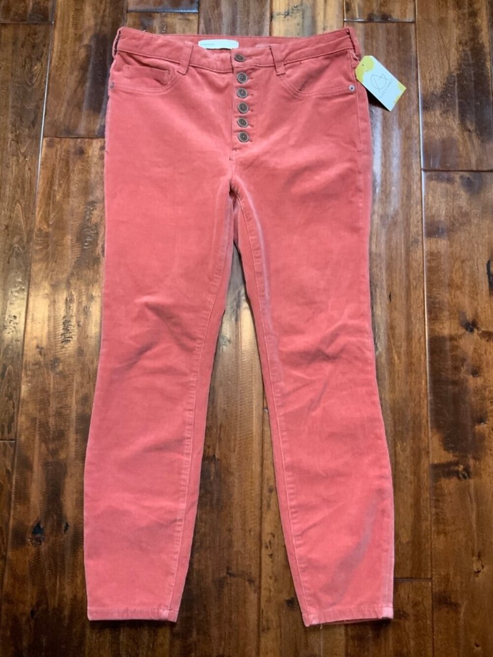 Pilcro Anthropologie Rust Red Corduroy High Rise Skinny Jeans, Size 30